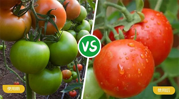 ьôԪˮܷ19-19-19+TE-r(nng)5