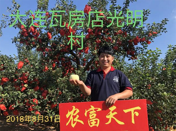 雙硫基全水溶復合肥料20-20-5-農(nóng)富天下4