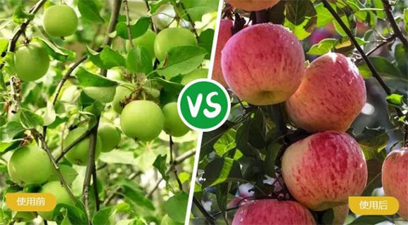 ьôԪˮܷ19-19-19+TE-r(nng)6