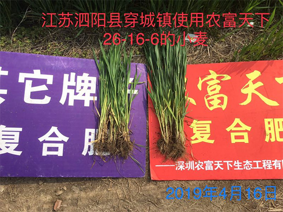 (zhun)͏(f)Ϸ17-17-17-r(nng)5