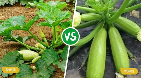 ьôԪˮܷ19-19-19+TE-r(nng)4