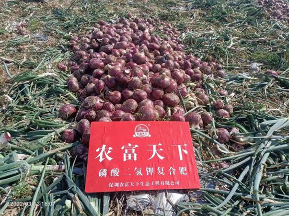 雙硫基全水溶復合肥料20-20-5-農(nóng)富天下5