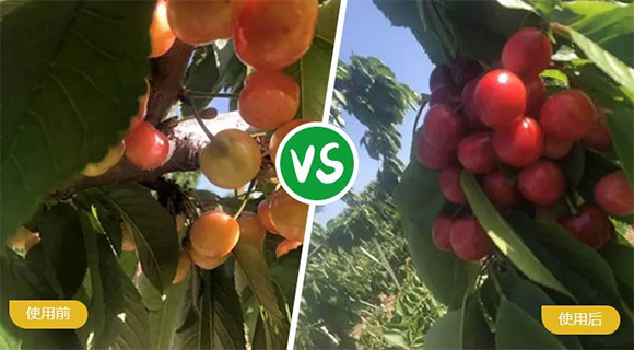 ьôԪˮܷ19-19-19+TE-r(nng)3