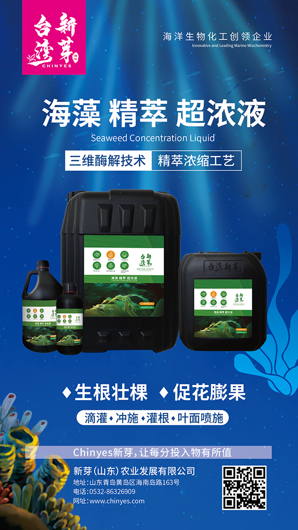 海藻精萃超濃液-臺灣新芽4