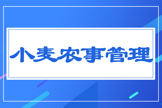 小麥農事管理