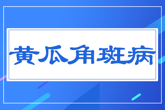 黃瓜角斑病