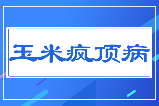 玉米瘋頂病