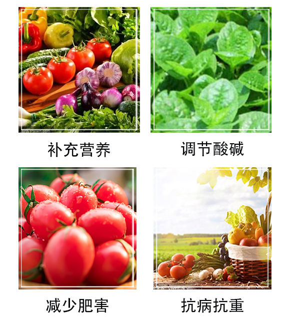 益土良田-艾谷農(nóng)業(yè)_05