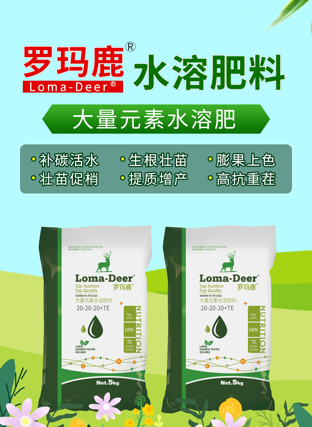 青島海鯨進(jìn)出口有限公司02