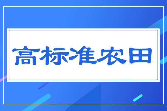 高標準農(nóng)田