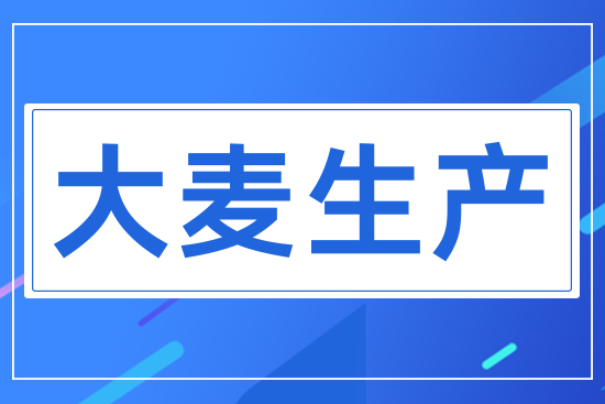 大麥生產(chǎn)