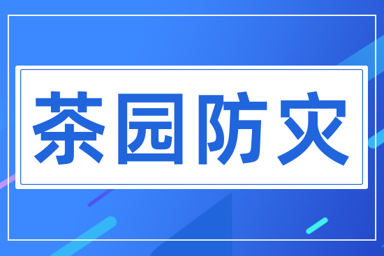 茶園防災(zāi)