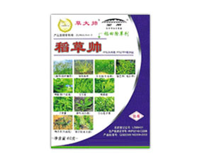 KЌr(nng)ˎ؟(z)ι˾