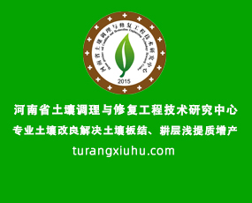 ʡ{(dio)cޏ(f)̼g(sh)о