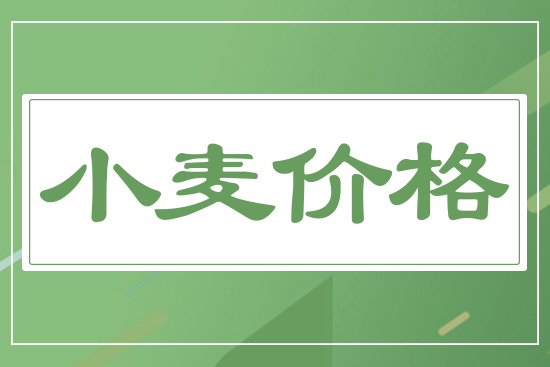 麥價(jià)穩(wěn)中偏強(qiáng)，11月27日國(guó)內(nèi)小麥價(jià)格行情日?qǐng)?bào)