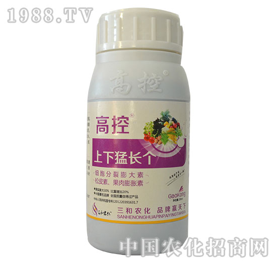 ߿-L(zhng)(g)-r(nng)