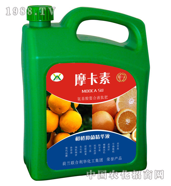 ̳־AҺ-Ħ-(qing)оH