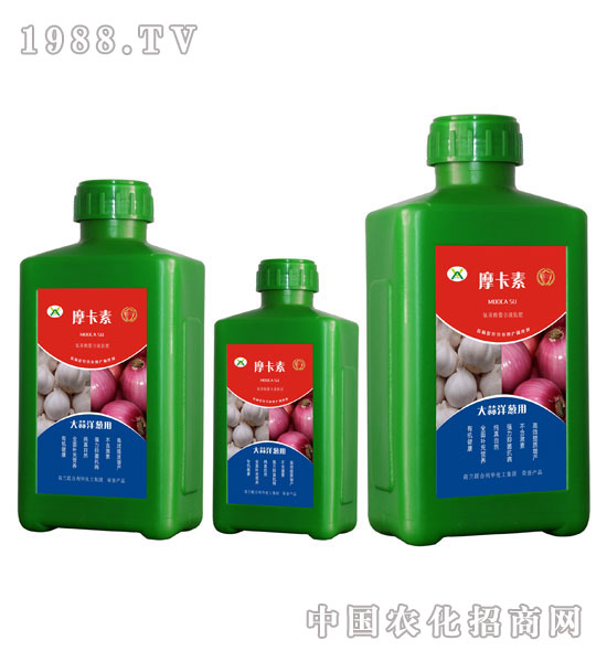 [ðҺķ-Ħ-(qing)оH