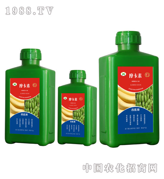 㽶(zhun)ðҺķ-Ħ-(qing)о(gu)H