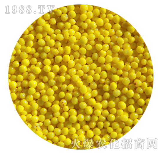 Sɫ(sh)֬-r(nng)ʘI(y)