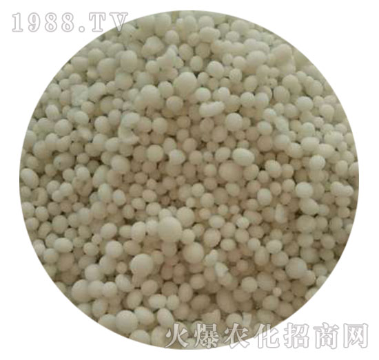 ⛏ͺϷ25-10-10-w-ֲ