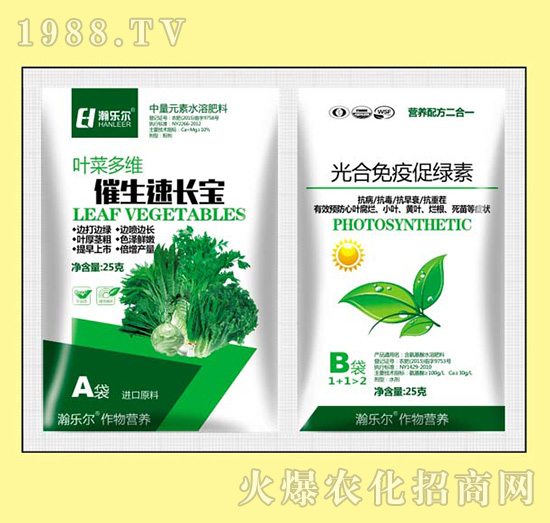 L(zhng)+ߴپG-嫘(l)