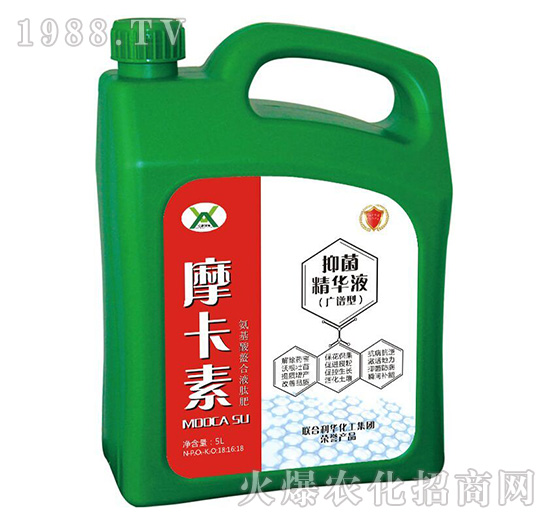 ־AҺVVͣ-Ħ-(qing)о(gu)H