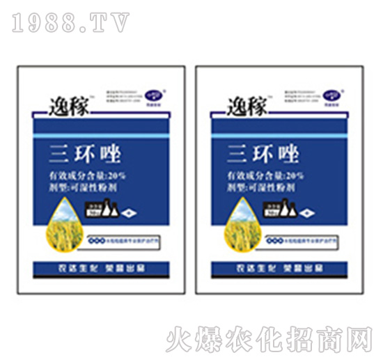 20%h(hun)-ݼ-r(nng)_