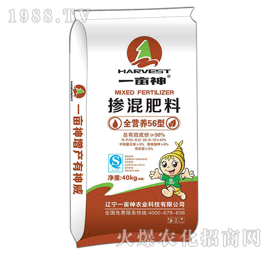 ȫI(yng)B(yng)56͓22-8-10-һ