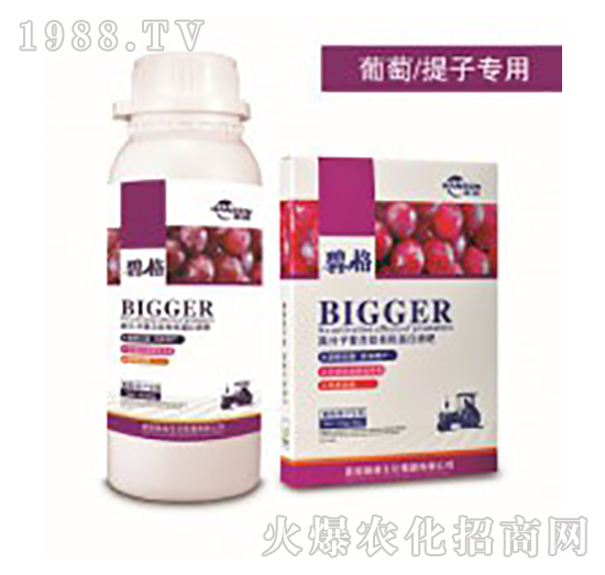 ӌø߷ӏ(f)ЙCҺ-̸-ɭr(nng)I(y)