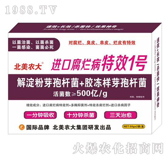 M(jn)ڸЧ1̖(ho)-r(nng)