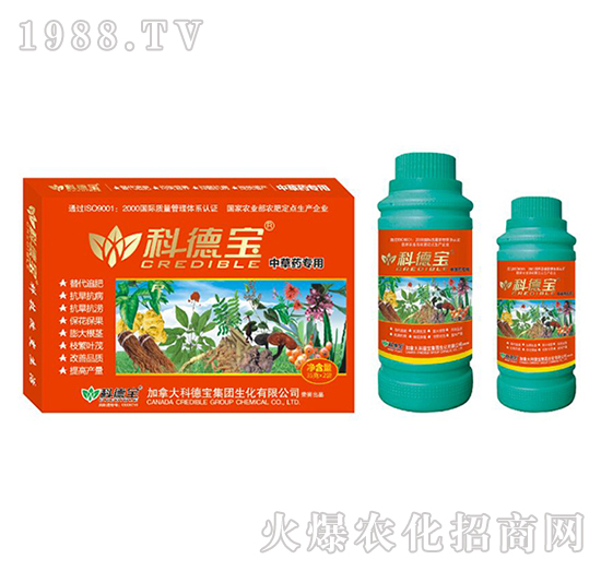 вˎàIB(yng)a(chn){(dio)턩-Ƶ