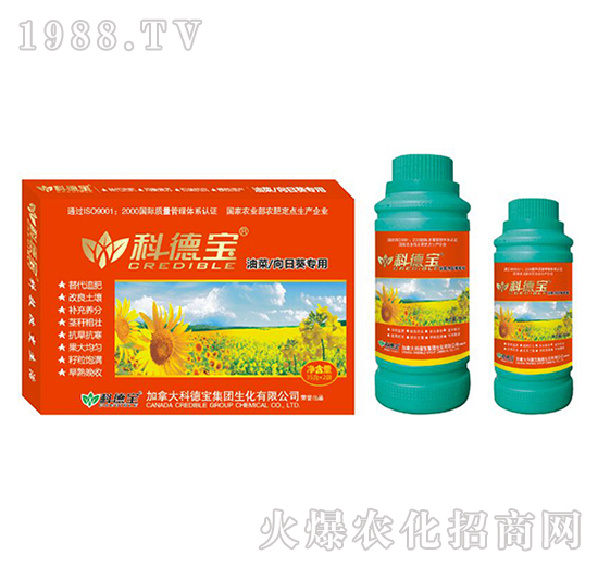 ͲտàI(yng)B(yng)a(chn){(dio)턩-Ƶ