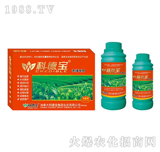 ɣàIB(yng)a(chn){(dio)턩-Ƶ