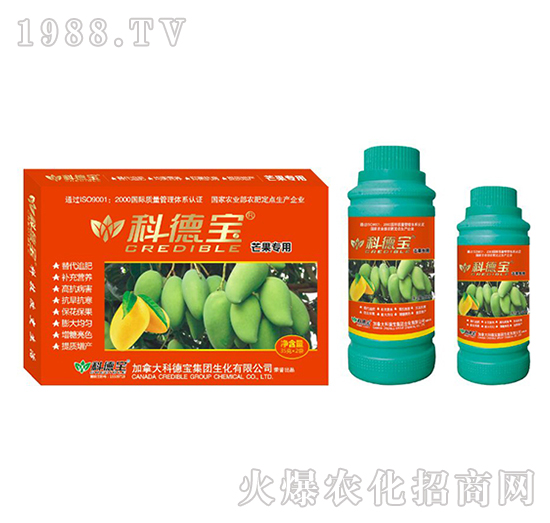 âàIB(yng)a{턩-Ƶ