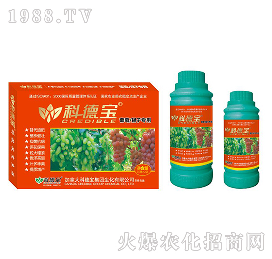 ѡӌàI(yng)B(yng)a(chn){(dio)턩-Ƶ