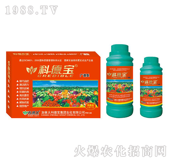 VV͠IB(yng)a{턩-Ƶ