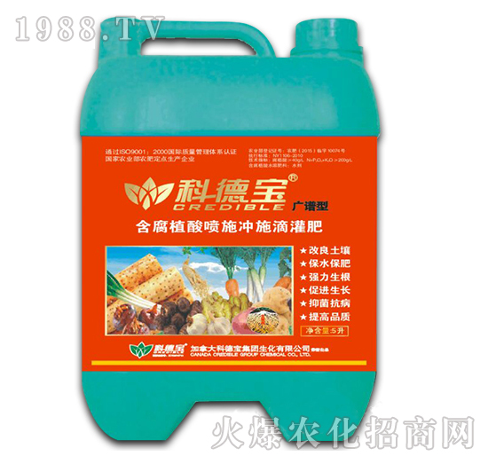 VVͺֲᇊʩ_ʩι-Ƶ