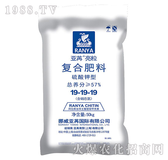 ͏(f)Ϸ19-19-19--ۇ(gu)H