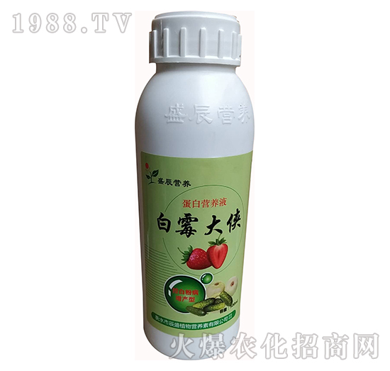 נIB(yng)Һ-ùb-ʢֲ