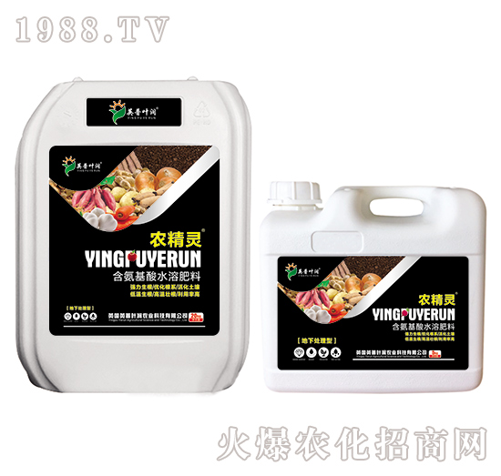 ̎ͺֲˮܷ-r(nng)`-Ӣ~(rn)