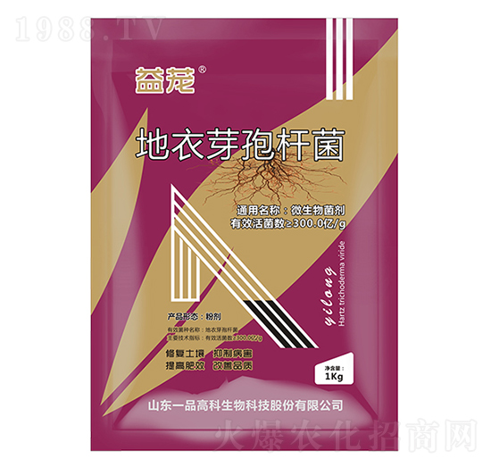 ѿߗU-d-r(nng)˼_(d)