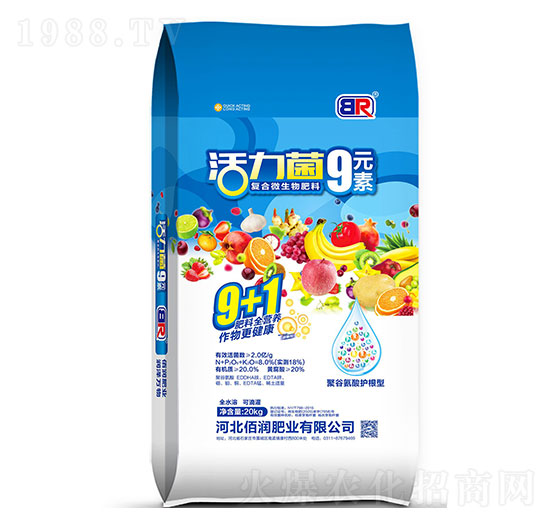 ۹Ȱo(h)-9Ԫ-۝ʘI(y)