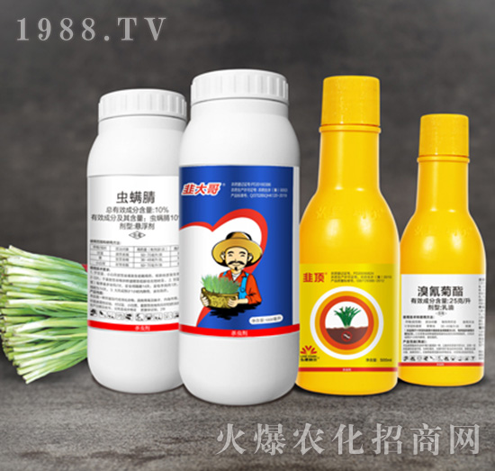 10%x(chng)+25ÿ-´½M-С