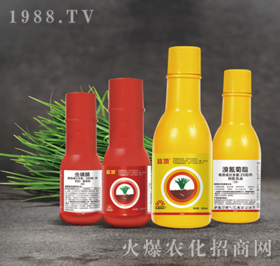 240ÿx(chng)+25ÿ-[⌣(zhun)--С