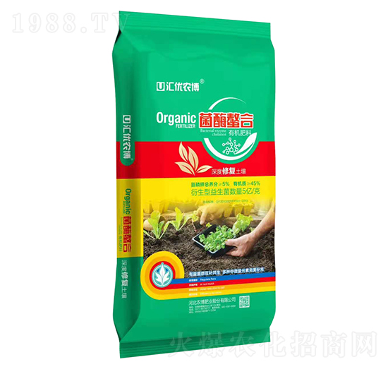 øЙC-R(yu)r(nng)-r(nng)ʘI(y)