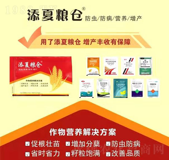 I(yng)B(yng)Q-ļZ}(cng)-S՘(l)