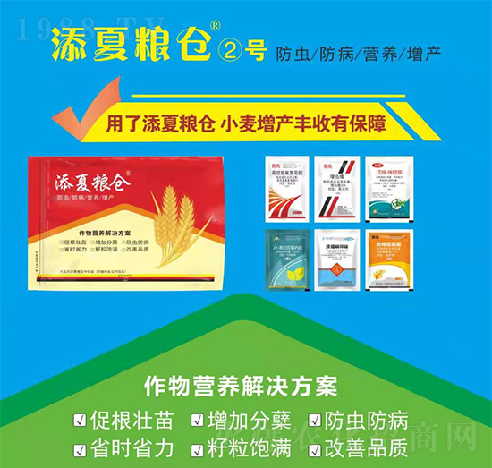 I(yng)B(yng)Q-ļZ}(cng)̖(ho)-S՘(l)