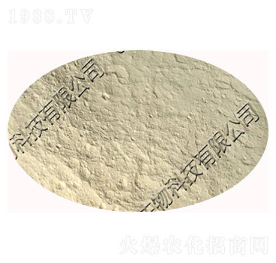 z(li)ѿߗUz|(zh)ѿߗU-