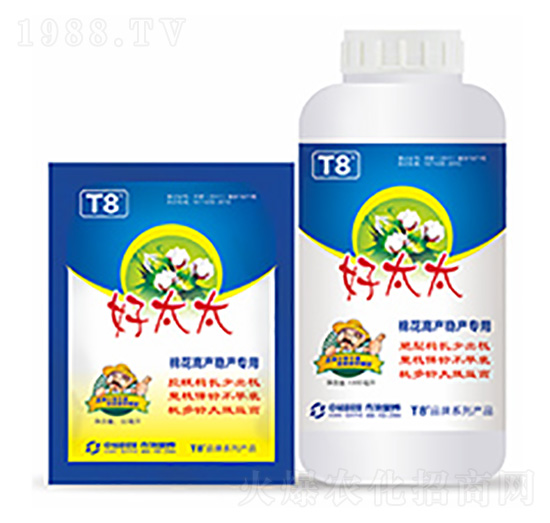 ޻֦⏌-̫̫-Ƽ